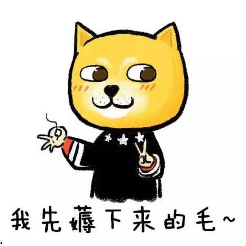 娱乐吃瓜酱短短七个字,娱乐吃瓜酱背后的秘密